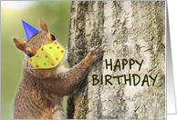 Happy Birthday Squirrel in Coronavirus Face Mask Humor card