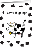 Coronavirus Isolation Support Thinking of You Cow Caring Humor card