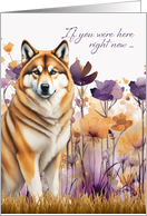 Miss You Akita Dog in a Purple Wildflower Meadow card