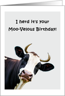 I herd It’s your Moo-veious Birthday! card